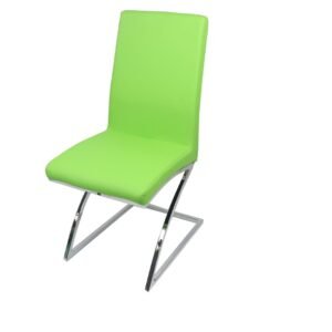 Monalisa Dining Chair - Silver - Green-Silver