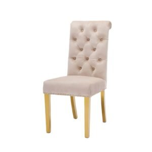 Honey Dining Chair with Steel Legs